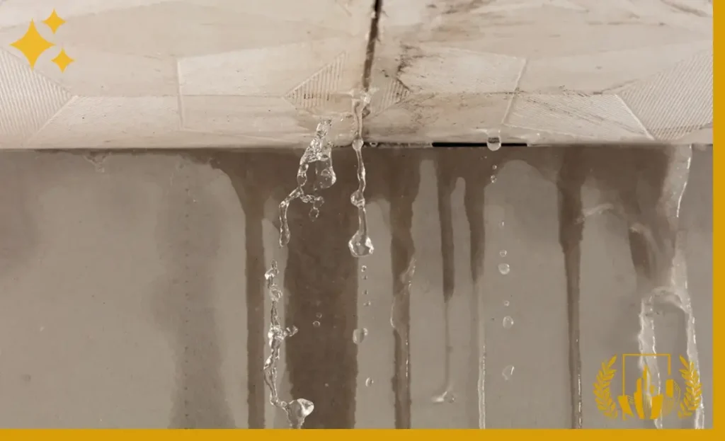 شركة كشف تسربات الاسطح بابها